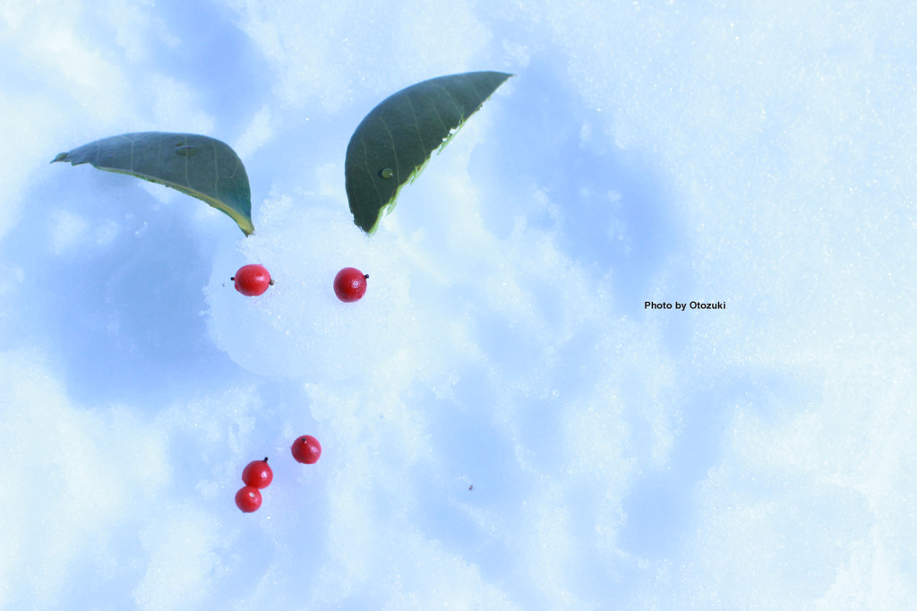 雪うさぎ