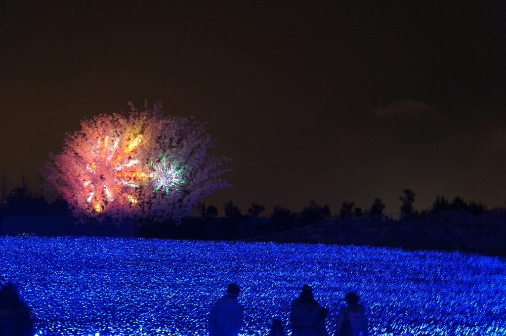 光の花火