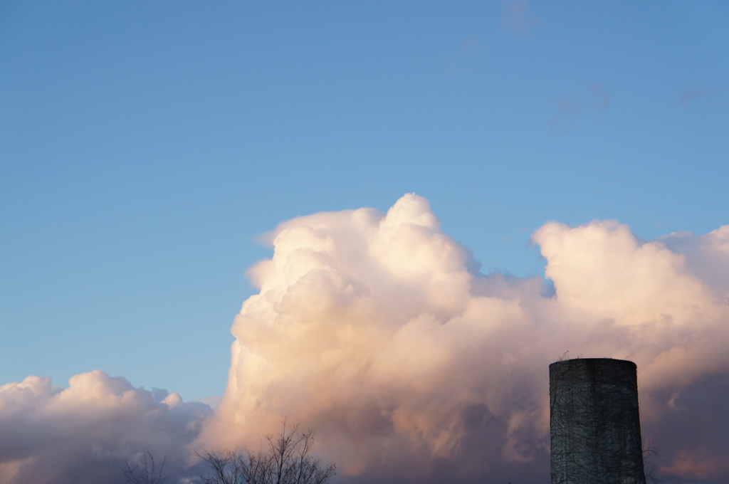 冬の空