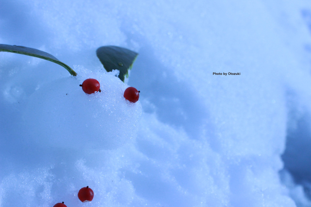 雪うさぎ