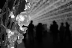 光のトンネルと花　モノクロ