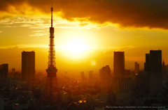 東京タワー　#12