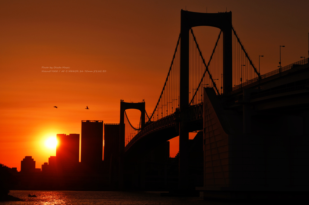 夕暮～トワイライトの組写真　その１