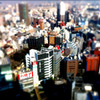 Shinjuku miniature