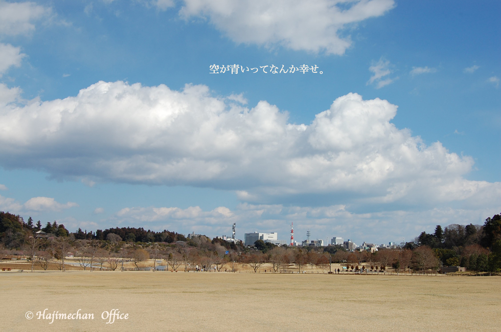 空が青いってなんか幸せ。