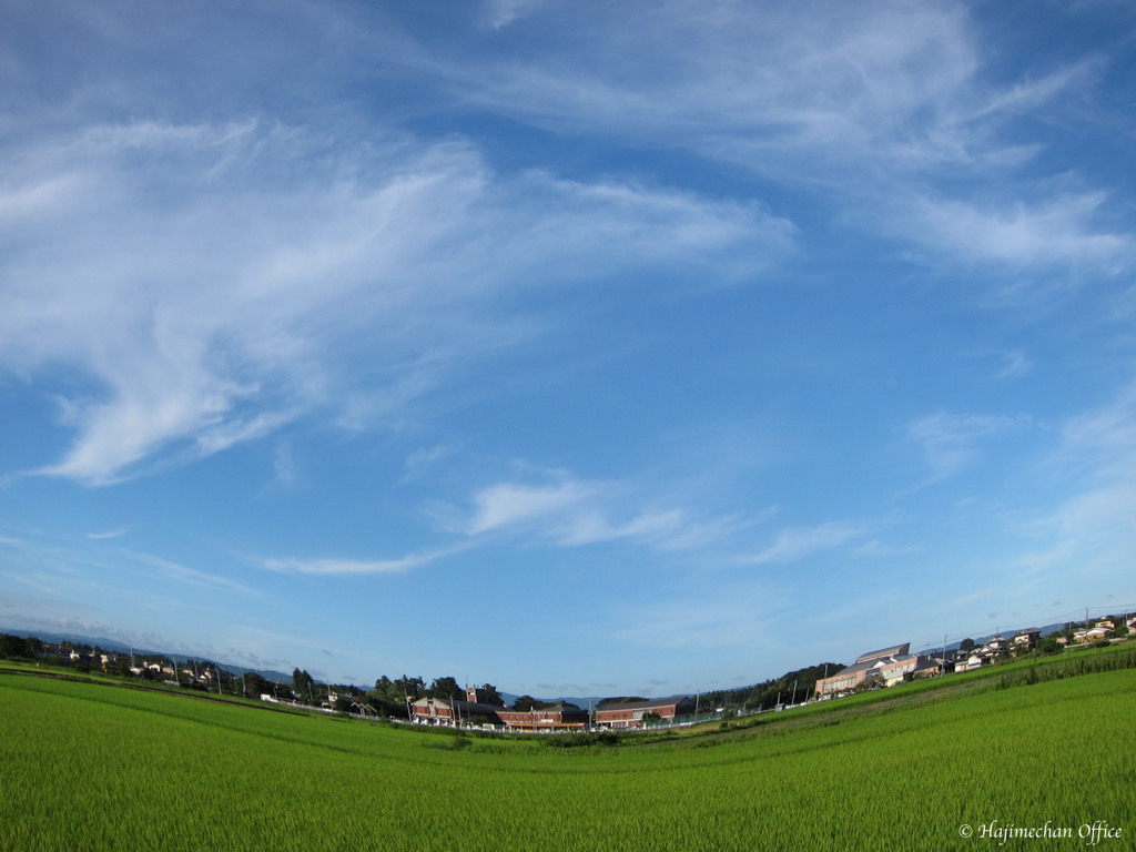 湾曲した風景 1