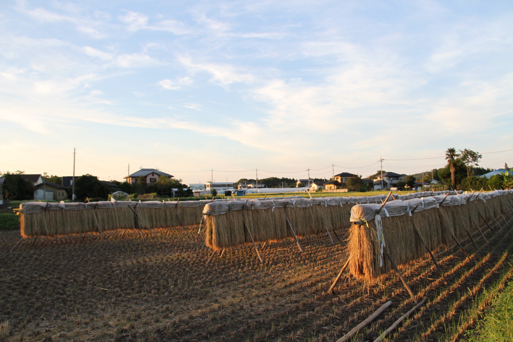 オダガケのある風景