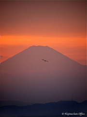 夕暮れの山