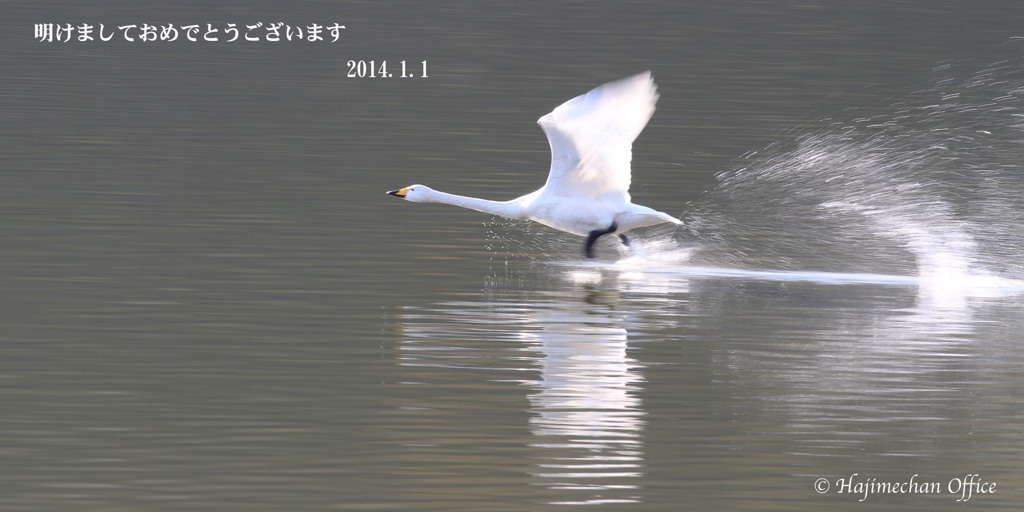 あけましておめでとうございます