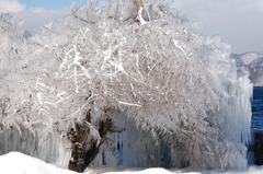 中禅寺湖の飛沫氷