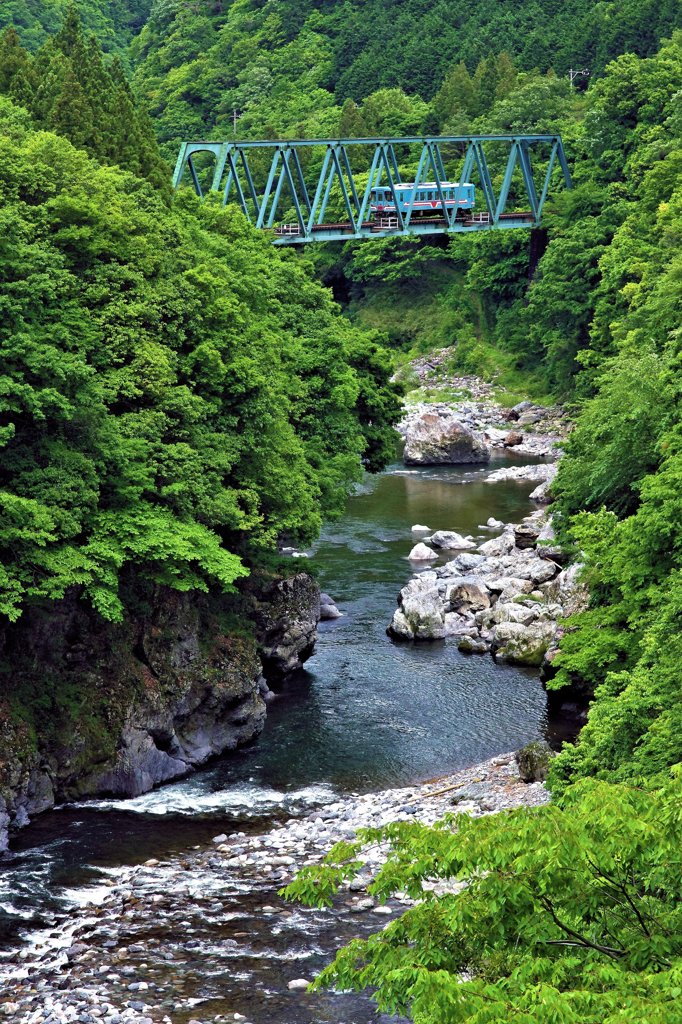 緑と樽見鉄道　Ⅱ