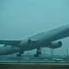 まるわかりツアー　1
