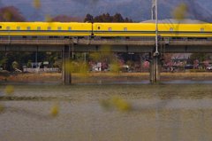 池を渡るイエロー　Ⅲ