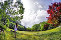 新緑の桜