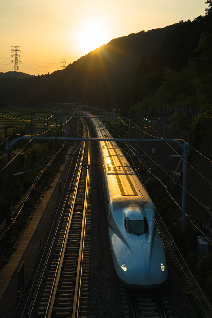 夕陽を背に