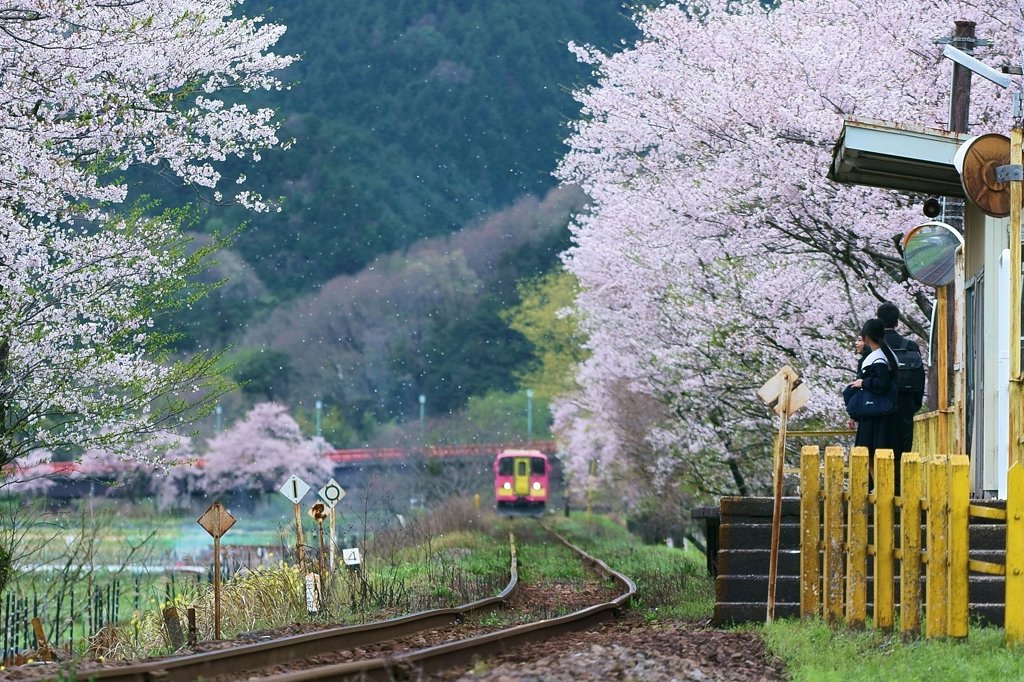 新学列車　樽鉄