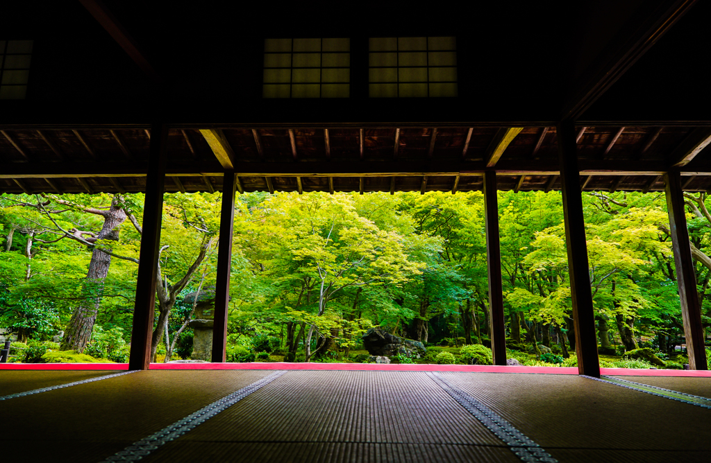 圓光寺