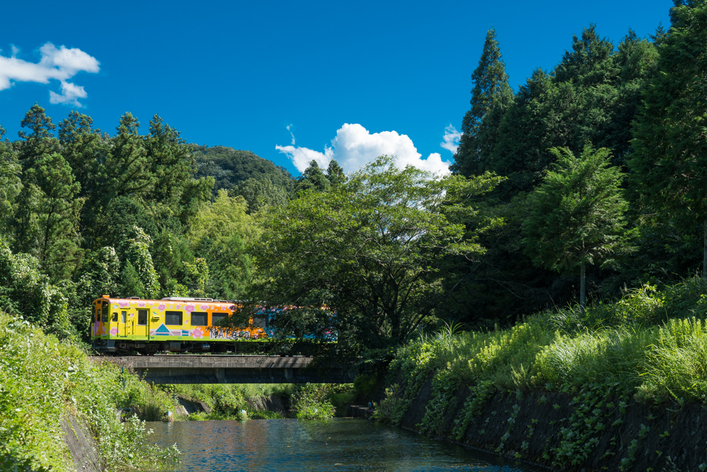 晩夏樽見鉄道　2
