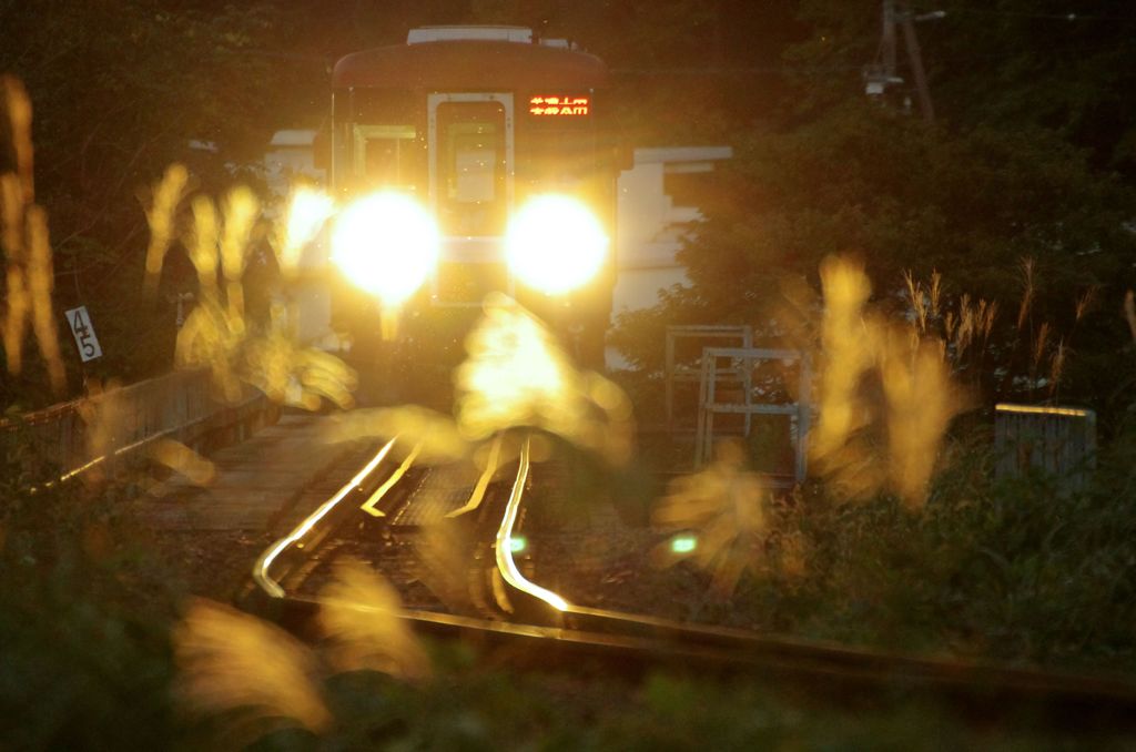 秋の長良川鉄道　2