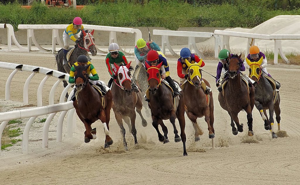 笠松競馬場2