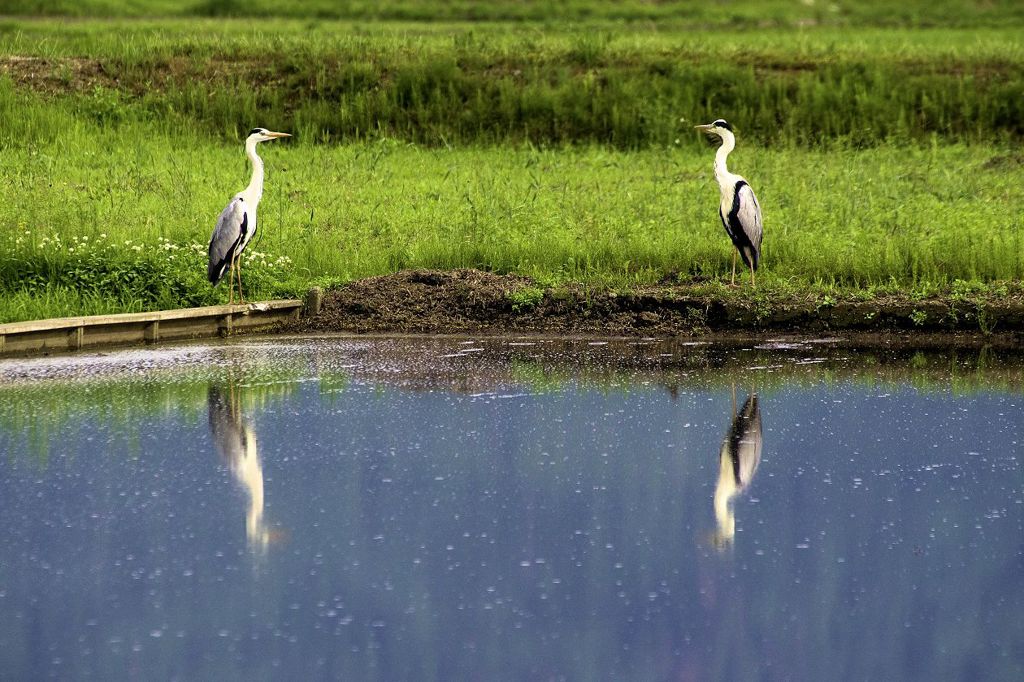 二人の仲は急接近♡