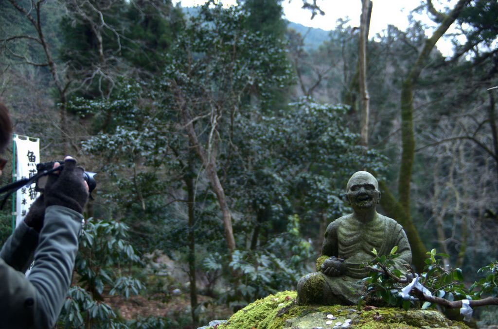 やあ～カメラマンさん