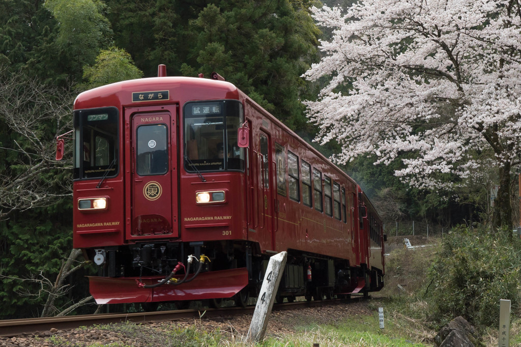 ながら