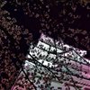 城
