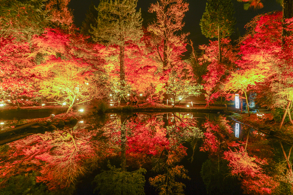 曾木公園水鏡