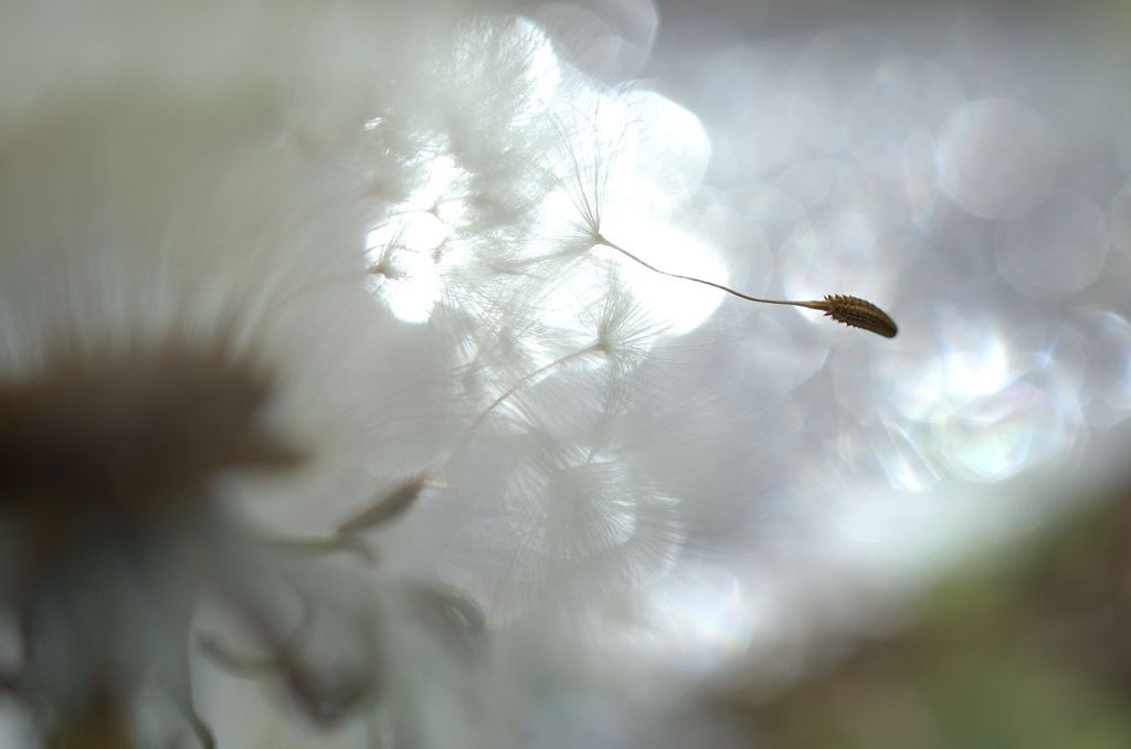 旅立ちの時です。。。