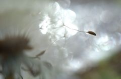 旅立ちの時です。。。