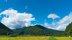 晩夏樽見鉄道　4