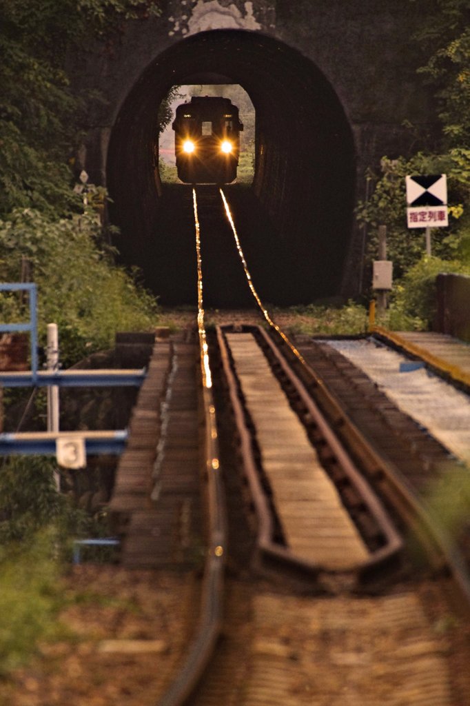 秋の長良川鉄道　3