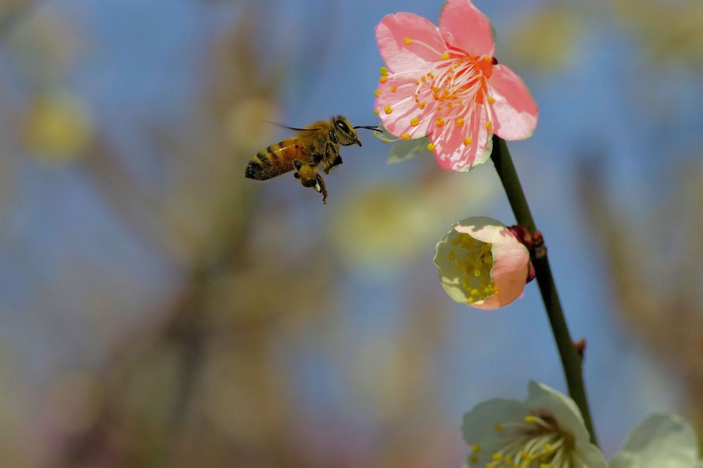 香りに誘われて♪