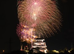 一夜の花が咲く　一