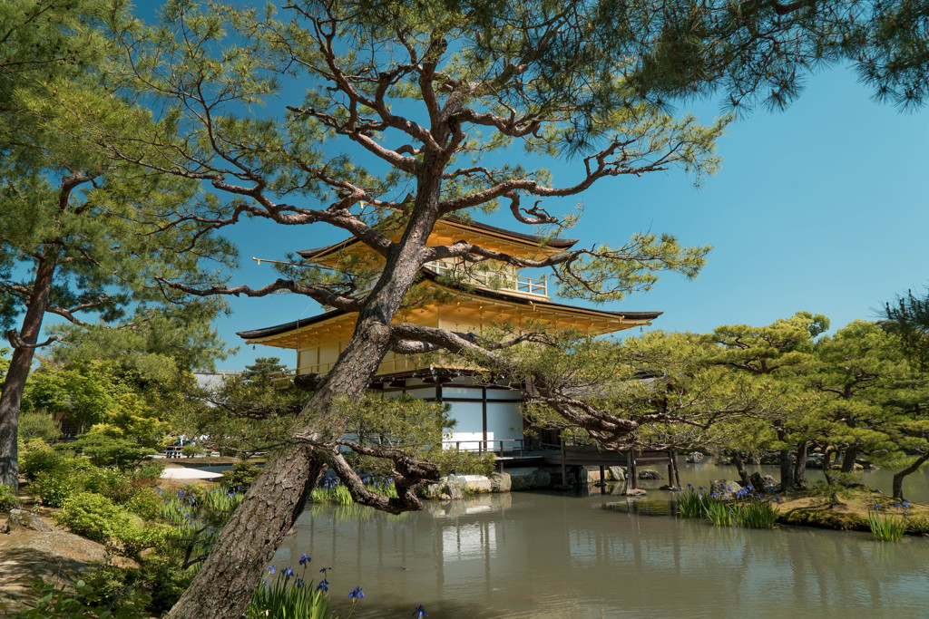 鹿苑寺（金閣寺）　2