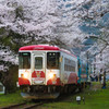 桜の頃　樽見鉄道　2