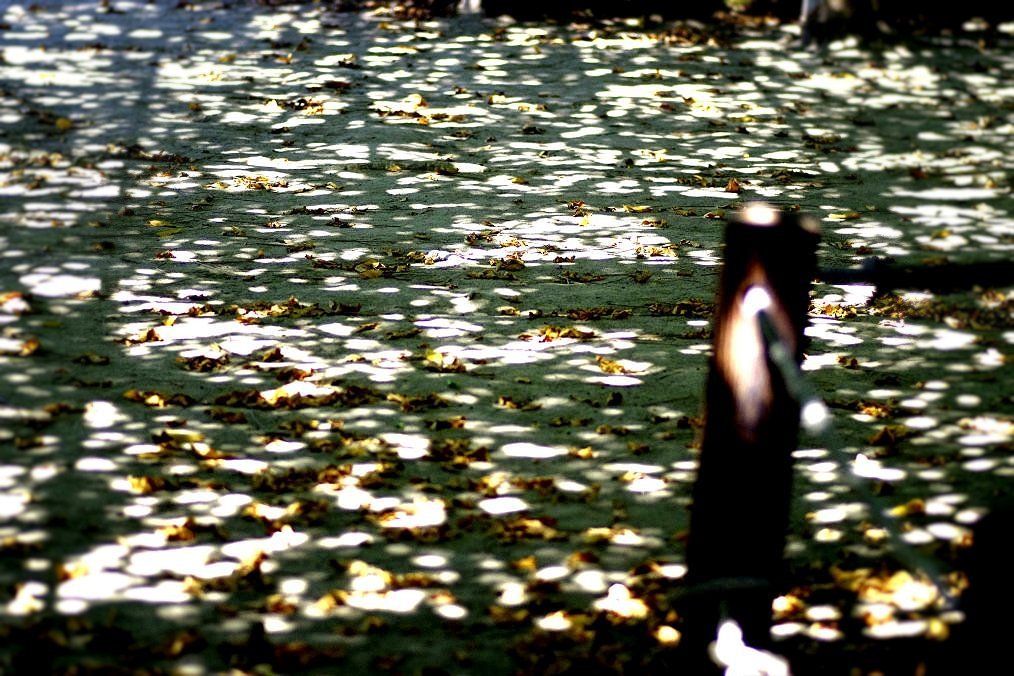 いくつものスポットライト