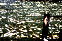 いくつものスポットライト