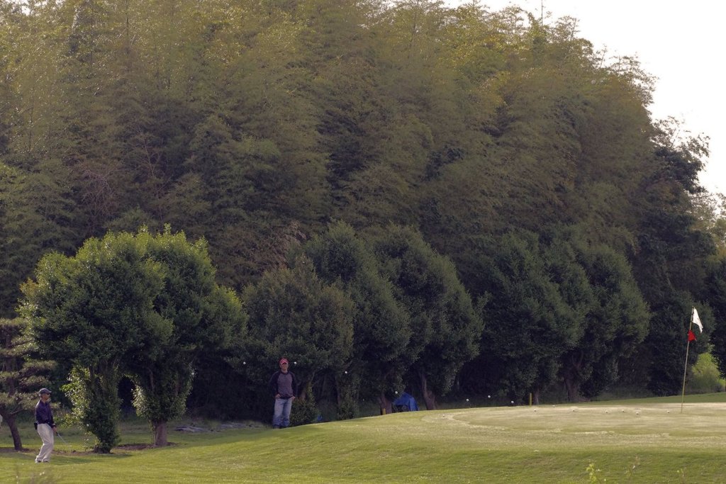 ベタピンです。