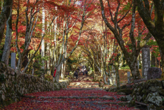 鶏足寺