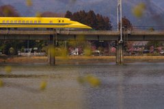 池を渡るイエロー　Ⅰ