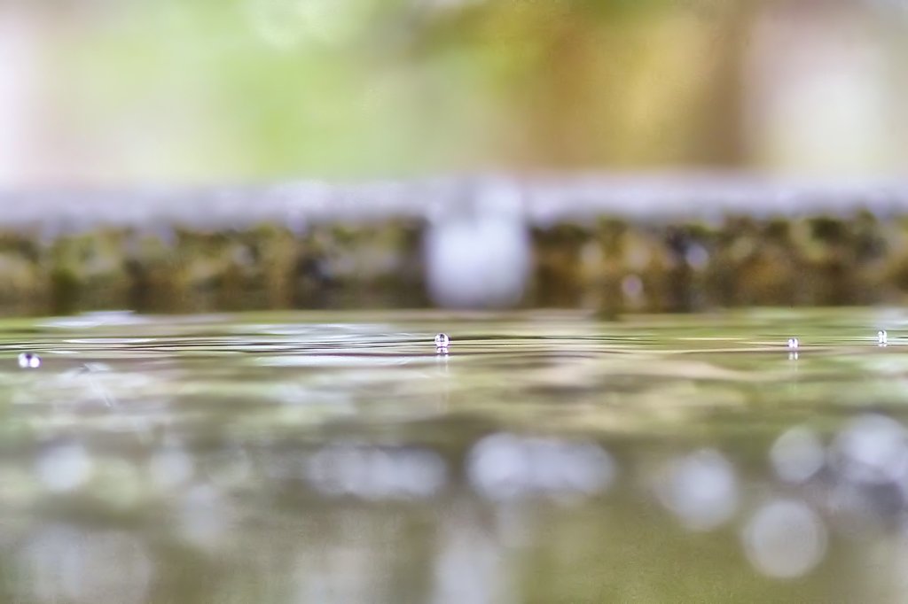 水玉
