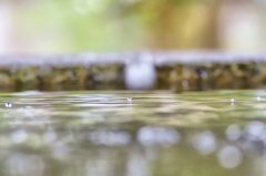水玉