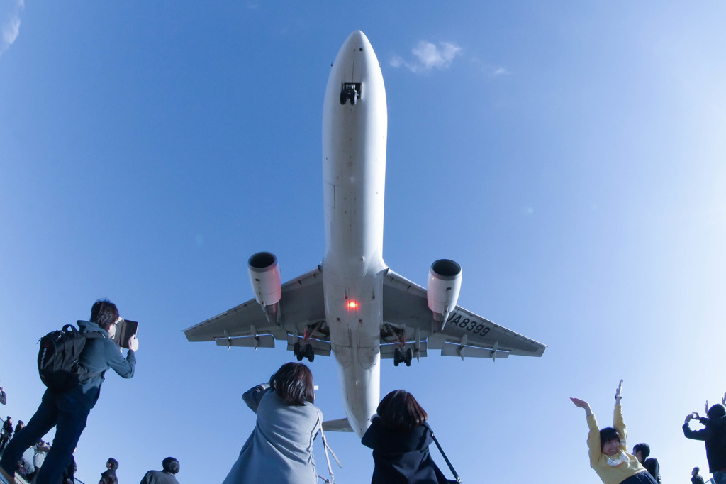 Airport Itami　6