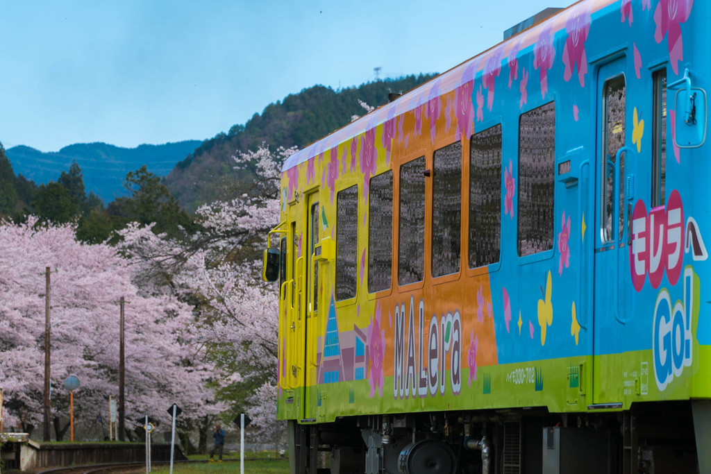 春の樽見鉄道　4