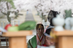 名木林春祭り　三
