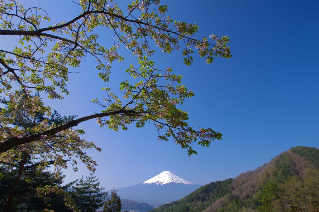 Beautiful mt.fuji　Ⅶ