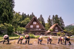 白川郷田植え祭り　1