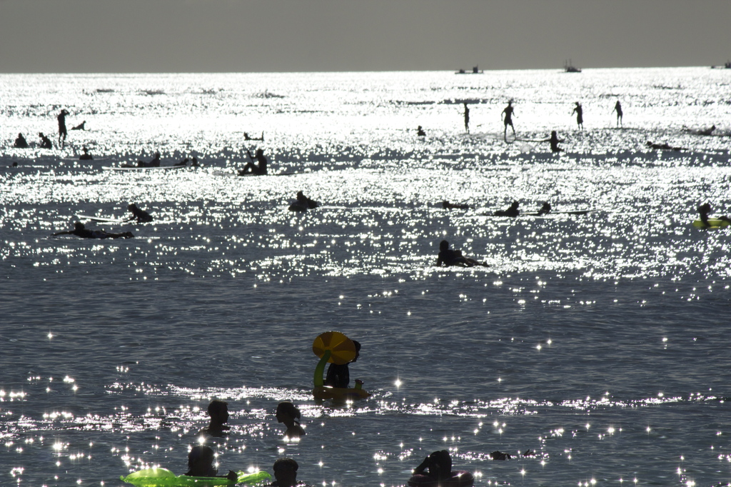 海の賑わい